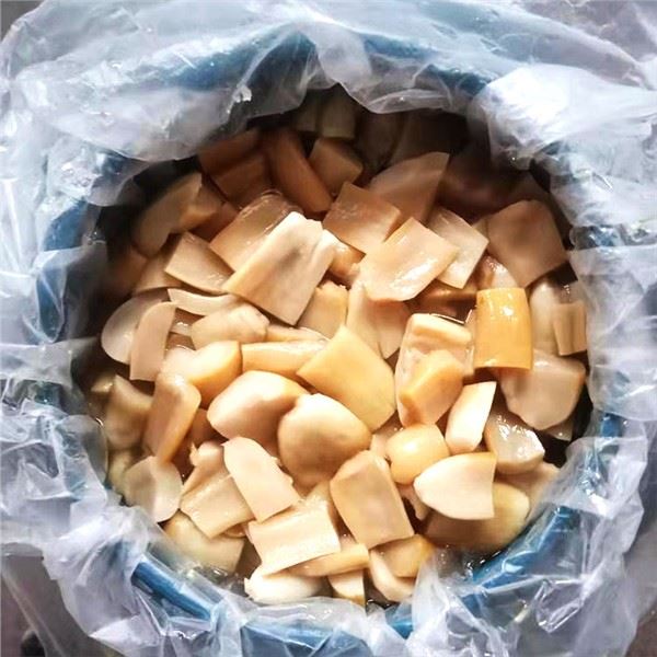 برائن میں اسٹروفیریا