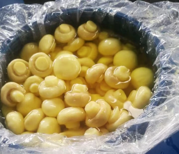 Chinese Champignon in SO2 in Barrel Chinese Champignon in SO2 in Barrel
