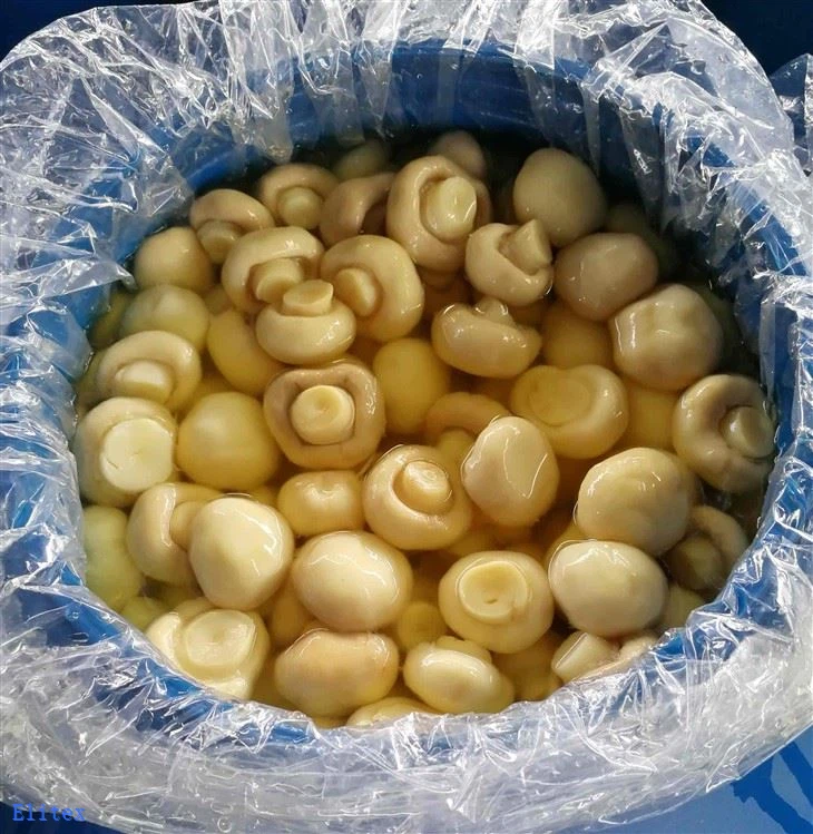 Chinese Preserved Mushroom in Barrel