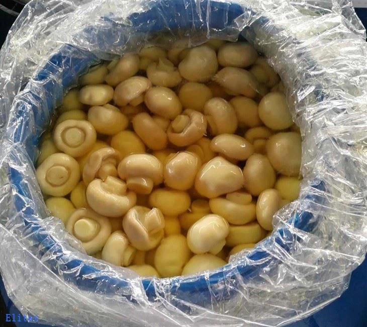 Chinese Preserved Mushroom in Barrel