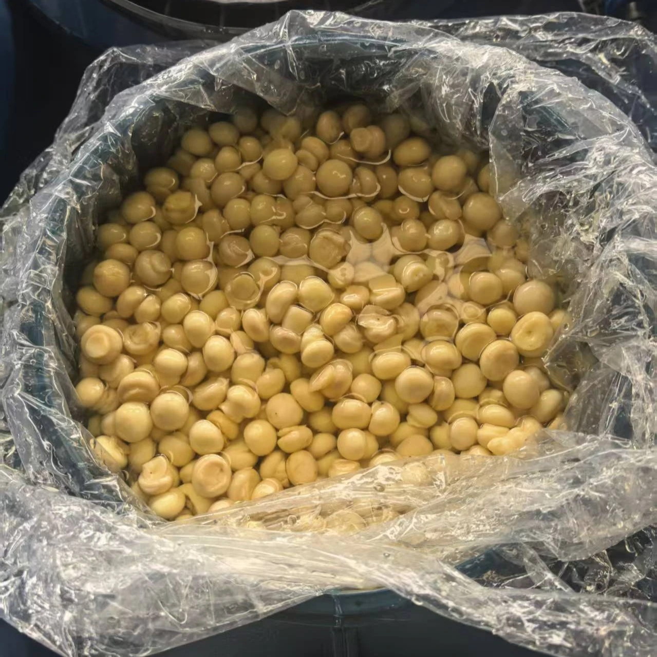 Bulk Preserved Champignon Mushrooms Cogumelos in SO2